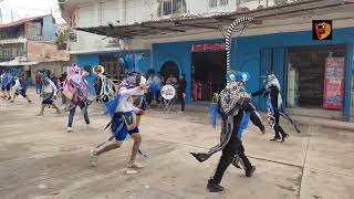 MECOS AZULES ACATLÁN GUERRERO El son del corral completo [upl. by Alonzo]