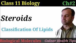 Steroids  Classification of Lipids class 11  Biological Molecules [upl. by Urbannai]