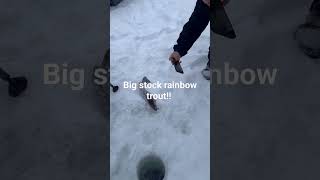 Ice fishing in Alaska for big rainbow trout alaska fishing icefishing [upl. by Egiedan702]