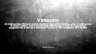 Medical vocabulary What does Vimentin mean [upl. by Nnahsal]