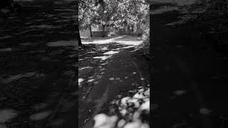 Creepy Forest Path Exploration  We Were Not Alone [upl. by Powell]