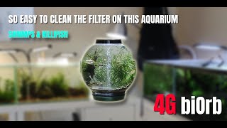 biOrb Aquariums Filter Cleaning and Setup for Shrimps and Killifish [upl. by Enitsyrk76]