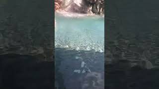 🌊Guhantara resort water falls Bangaloreresort waterfall water shorts bangalore holiday happy [upl. by Deirdre323]