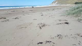 Porangahau Beach  NZ Hawkes Bay [upl. by Yeaton]