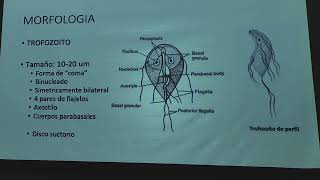 Giardiasis Amebiasis  Dr Carr [upl. by Fahland]