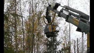 Harvesting of energywood with a Ponsse harvester in Finland [upl. by Alfons]