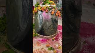 Somanath Jyotirlingam somanath gujrat top10 mustwatch bholenath shambhu tourism [upl. by Nalid]