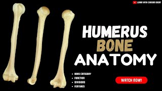 THE HUMERUS ANATOMY [upl. by Nahshu71]