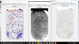 Fingerprint Minutiae Extraction using MATLAB [upl. by Guillaume]