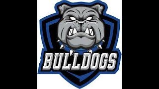 Toronto Bulldogs 2024 MSHL Goal Horns [upl. by Hochman]