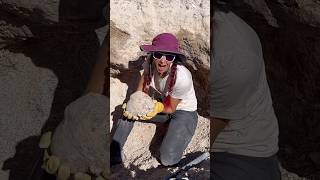 15 pound geode reveal from Dugway Geo beds Geology ￼ crystals rockhound ￼ [upl. by Eislrahc]