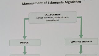 Eclampsia Algorithm mangement  and  International patient safety goals [upl. by Ameen]