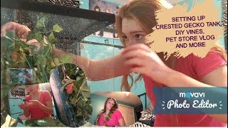 SETTING UP CRESTED GECKO TANK DIY VINES PET STORE VLOG AND MORE Taylor Joness [upl. by Dnaltiak799]