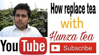 हुंजा चाय कैसे बनायेHow to replace tea with hunza tea Hunza tea recipe  Latest update 2018 [upl. by Rockwell]