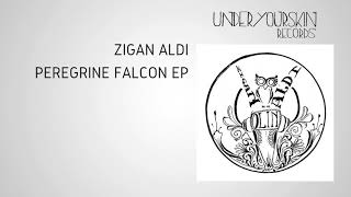 Zigan Aldi  Seems To Be UYSR054 [upl. by Ffej]