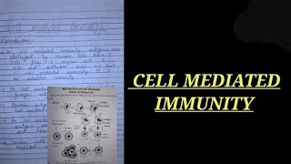 CELL MEDIATED IMMUNITY NOTES immunologynotes zoology bsczoology vbu bbmku skmu zoologynotes [upl. by Curcio]