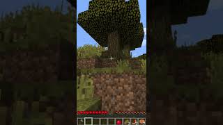 Ele não passou no buraco minecraft minecraftshorts fyp [upl. by Arvind]