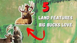 Here Are 5 Key Land Features Big Bucks Use As Travel Routes [upl. by Welby]