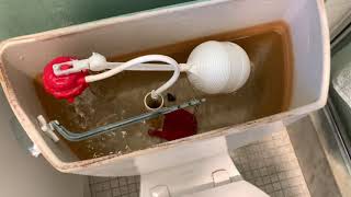 How to install a Korky Universal toilet flapper [upl. by Lowenstern150]