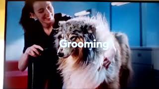 PetSmart Grooming Pet Shop Commercial [upl. by Aicilaf522]