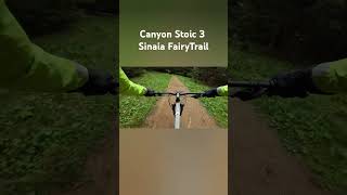 Coborare Sinaia FairyTrail  Canyon Stoic 3 biciclete mtb downhill mountainbike enduro [upl. by Newfeld622]