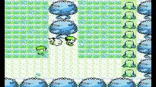 Level 100 Nidoking Glitch Pokemon Yellow [upl. by Ahsienet748]