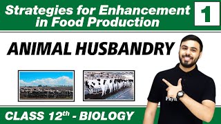 Strategies for Enhancement in Food Production 01 Animal Husbandry  Class 12 NCERT [upl. by Lebazi966]