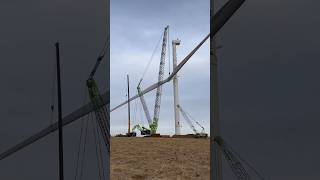 Zoomlion 650 ton crawler crane [upl. by Alenoel]