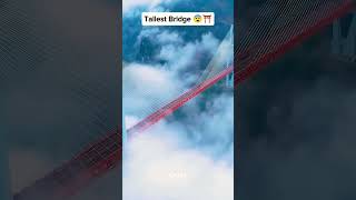 World tallest bridge amazingfacts chinabridge factsinhindi bridge interestingfacts trending [upl. by Fredi836]