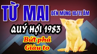 Tử Vi Từ Mai Đến Mùng 1011 Âm Nhận Định Quý Hợi 1983 Có Lộc Trời Đến Cùng Cơ Hội Tài Lộc Bùng Nổ [upl. by Tteltrab]