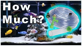 When To Water Change An Aquarium – No It Doesn’t Depend [upl. by Jezabelle]