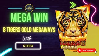 MEGA WIN  8 Tigers Gold Megaways [upl. by Ajnot372]