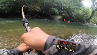 Pemancing manapun pasti panik klw di tarik ikan mahseer sebesar ini [upl. by Jared428]