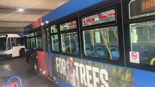 Buses At Clackamas Town Center [upl. by Marigolde310]