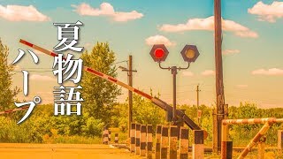 夏の物語が始まりそうな、癒しの音楽【リラックスBGM】 [upl. by Oluap]