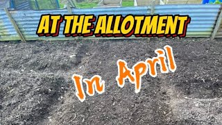 Unveiling Allotment Prep Techniques for 2024allotment vlogss [upl. by Monjo]