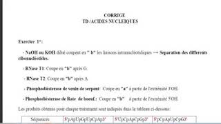 Biochimie structurale Exercice 1 Acide nucléiques [upl. by Templia]