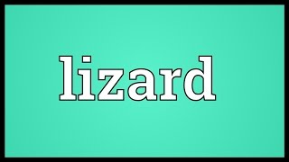 Lizard Meaning [upl. by Murray193]