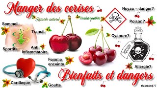 Cerises bienfaits et dangers Santé au naturel Enquête naturopathie [upl. by Zenger394]