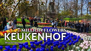 Keukenhof 🌷 7 Million Flowers 🌷 Full Tour of Keukenhof Gardens [upl. by Ariahaj643]