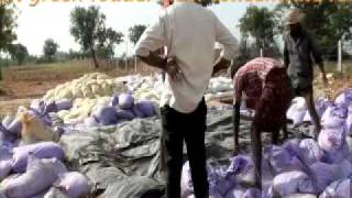 Silage Making in India [upl. by Flyn]