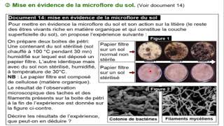 TCSFU1Ch2EP8  action de microfaune et microflore sur le sol minéralisation et humufication [upl. by Metabel]