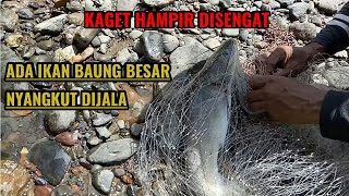 ASAL LEMPAR JALA TERNYATA ADA IKAN BAUNG BESAR SESAT NYANGKUT [upl. by Christyna961]