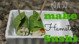 How to make HAMSTER SUSHI [upl. by Elo]