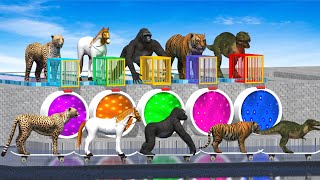 Gorilla Tiger Horse Cheetah roller skates and baby rescue  Safari 3d World [upl. by Dex]