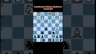 Scandinavian Defense Blackburne Gambit B01 [upl. by Alimak]