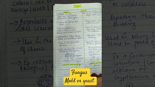 fungus mold vs yeast microbiology mycology handwritten differentiation easy to learn ytshorts [upl. by Elazaro]