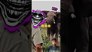 😯Hati Vs Manus😯 elephant edit animals viralshorts shorts viralvideo [upl. by Aneleasor]