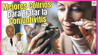 🔴 MEJORES COLIRIOS PARA EL TRATAMIENTO DE LA CONJUNTIVITIS EN GATOS 🔴 [upl. by Maurizia]