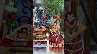 Tulsi vivah special bhajan 🌺🙏🌺 Tulsi vivah shortsfeed shortbeta share viralvideo viralshorts [upl. by Alyose176]